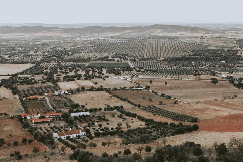 City Farming